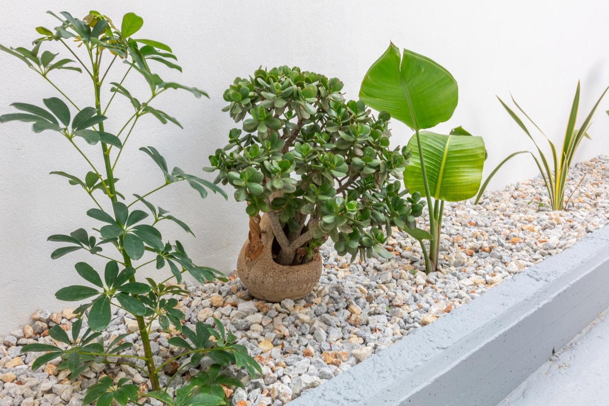 Garden Luxury Apartment Heraklion  Luaran gambar