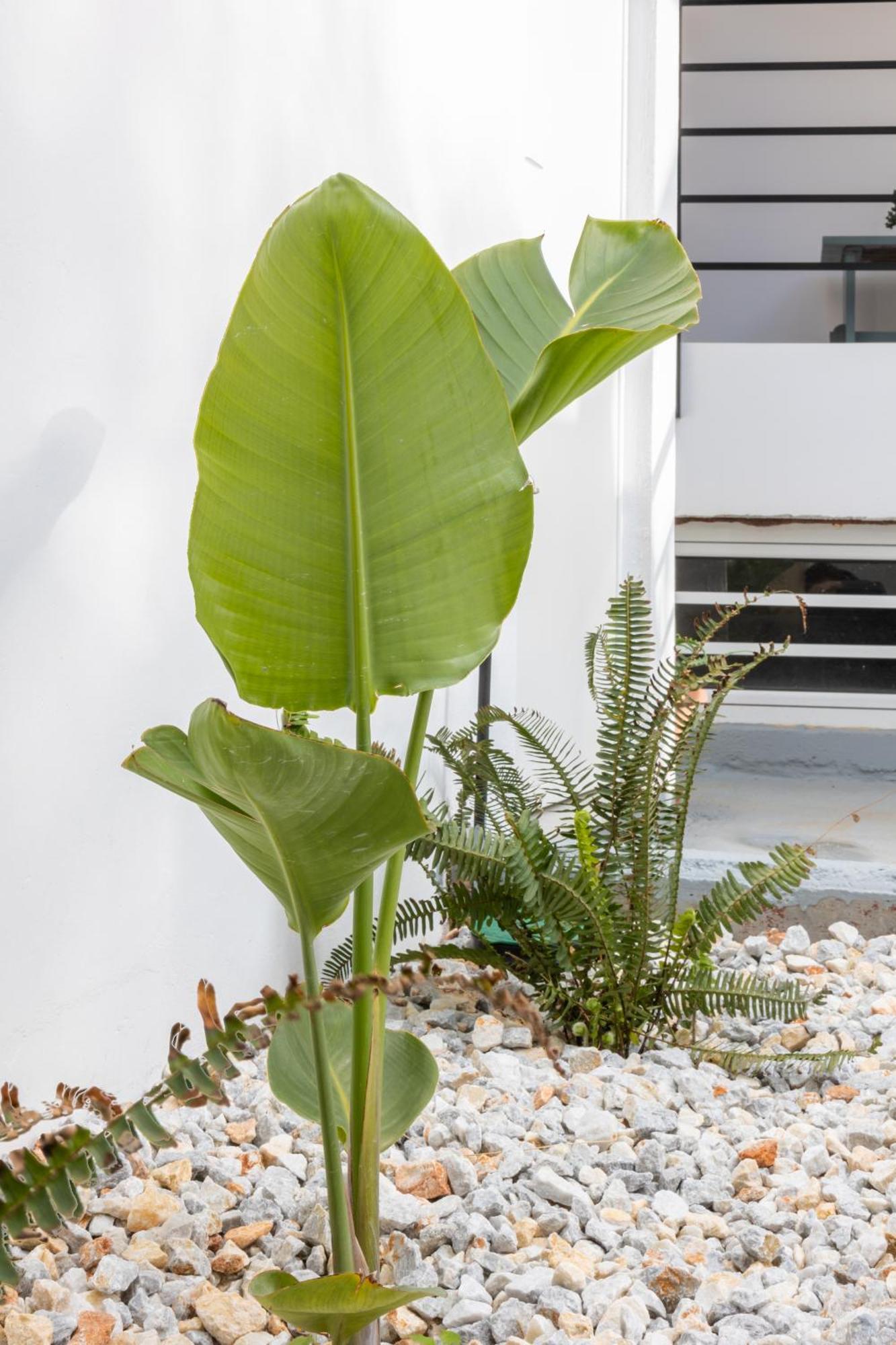 Garden Luxury Apartment Heraklion  Luaran gambar